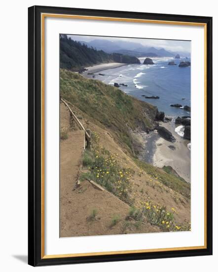 Cannon Beach, Lewis and Clark Trail, Ecola State Park, Oregon, USA-Connie Ricca-Framed Photographic Print