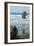 Cannon Beach, Oregon. People Walking with Dog-Natalie Tepper-Framed Photo