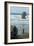 Cannon Beach, Oregon. People Walking with Dog-Natalie Tepper-Framed Photo