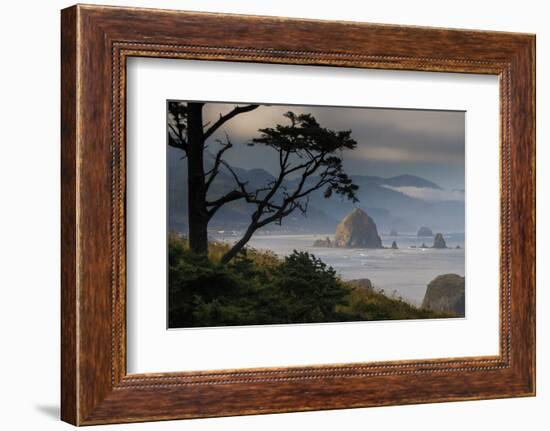 Cannon Beach, Oregon-Art Wolfe-Framed Photographic Print