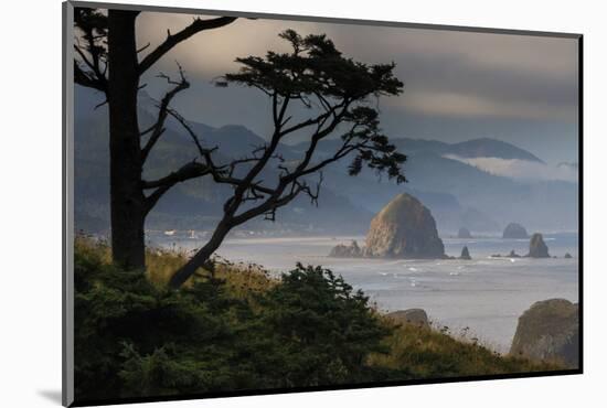 Cannon Beach, Oregon-Art Wolfe-Mounted Photographic Print