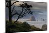 Cannon Beach, Oregon-Art Wolfe-Mounted Photographic Print