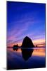 Cannon Beach VII-Ike Leahy-Mounted Photographic Print