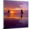 Cannon Beach VIII-Ike Leahy-Mounted Photographic Print