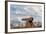 Cannon in Forte Do Castelo, Belem, Para State, Brazil-Keren Su-Framed Photographic Print