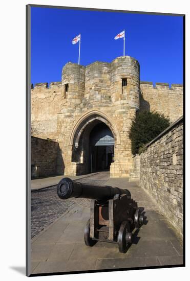 Cannon, Lincolnshire-Eleanor Scriven-Mounted Photographic Print