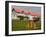 Cannon on Victory Green in Port Stanley, Falkland Islands (Islas Malvinas), South America-Richard Cummins-Framed Photographic Print