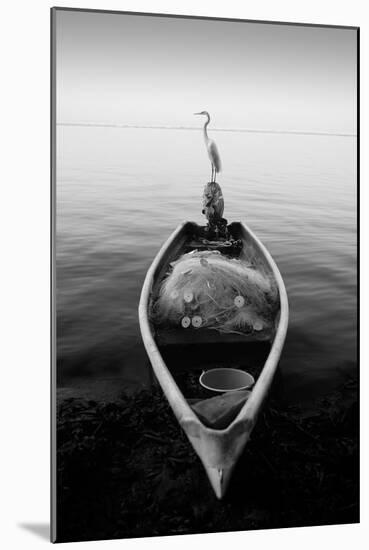 Canoe And A Heron-Moises Levy-Mounted Photographic Print