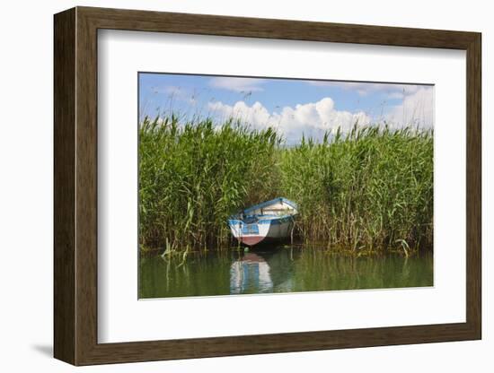 Canoe and reeds on Lake Ohrid, Republic of Macedonia-Keren Su-Framed Photographic Print