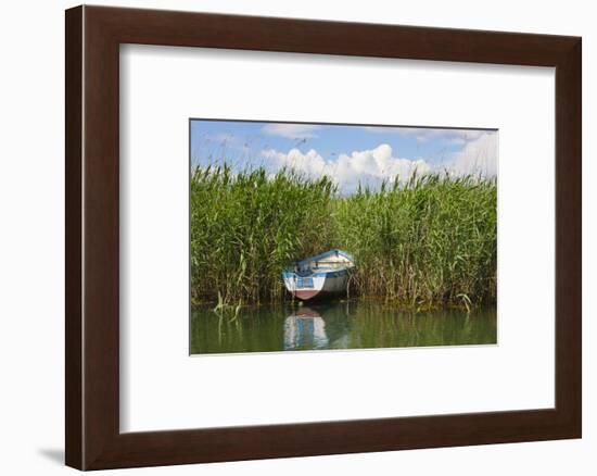 Canoe and reeds on Lake Ohrid, Republic of Macedonia-Keren Su-Framed Photographic Print