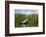 Canoe and reeds on Lake Ohrid, Republic of Macedonia-Keren Su-Framed Photographic Print