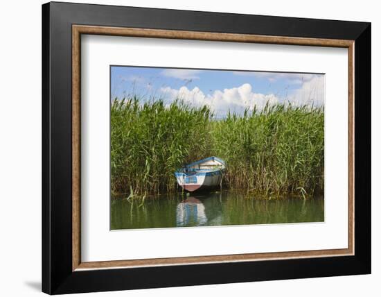 Canoe and reeds on Lake Ohrid, Republic of Macedonia-Keren Su-Framed Photographic Print