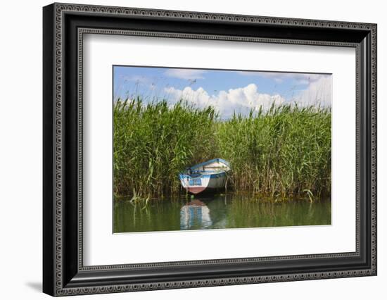 Canoe and reeds on Lake Ohrid, Republic of Macedonia-Keren Su-Framed Photographic Print