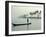 Canoe at Dawn on Backwaters, Alleppey District, Kerala, India, Asia-Annie Owen-Framed Photographic Print