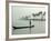 Canoe at Dawn on Backwaters, Alleppey District, Kerala, India, Asia-Annie Owen-Framed Photographic Print