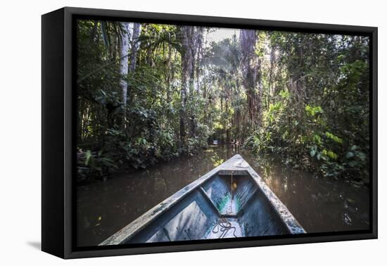 Canoe Boat Trip in Amazon Jungle of Peru, by Sandoval Lake in Tambopata National Reserve, Peru-Matthew Williams-Ellis-Framed Premier Image Canvas