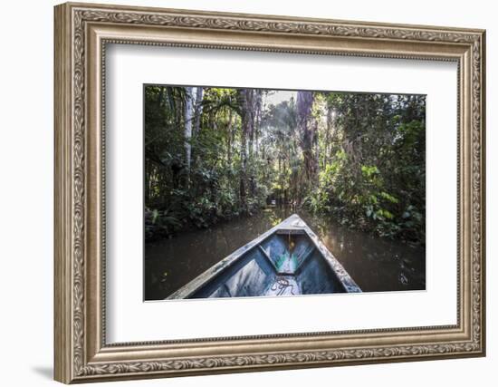 Canoe Boat Trip in Amazon Jungle of Peru, by Sandoval Lake in Tambopata National Reserve, Peru-Matthew Williams-Ellis-Framed Photographic Print