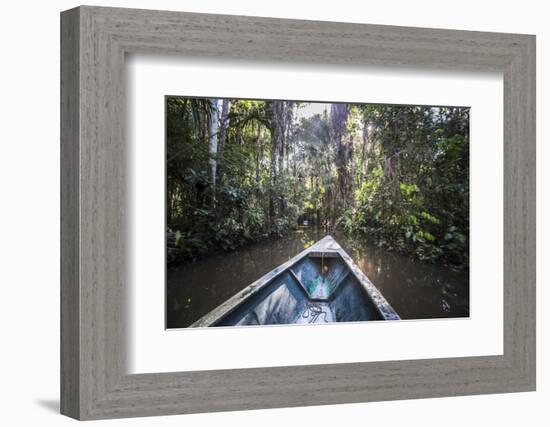 Canoe Boat Trip in Amazon Jungle of Peru, by Sandoval Lake in Tambopata National Reserve, Peru-Matthew Williams-Ellis-Framed Photographic Print