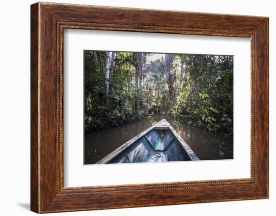 Canoe Boat Trip in Amazon Jungle of Peru, by Sandoval Lake in Tambopata National Reserve, Peru-Matthew Williams-Ellis-Framed Photographic Print