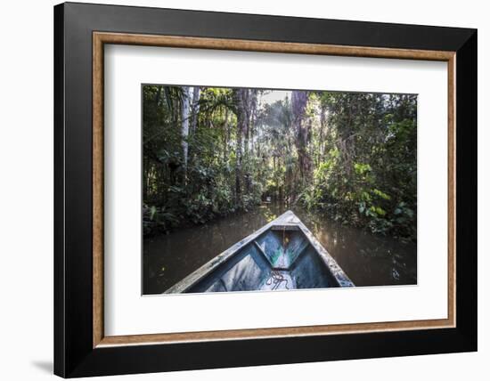 Canoe Boat Trip in Amazon Jungle of Peru, by Sandoval Lake in Tambopata National Reserve, Peru-Matthew Williams-Ellis-Framed Photographic Print