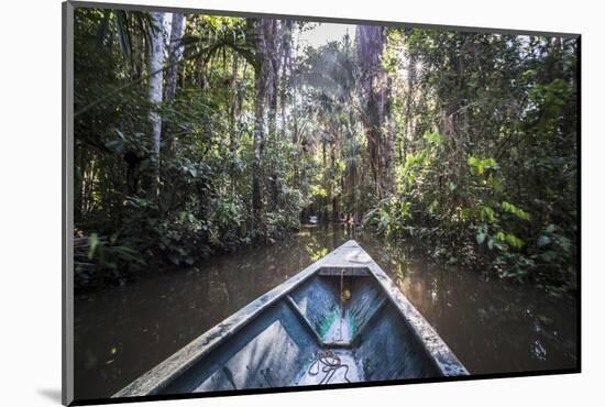 Canoe Boat Trip in Amazon Jungle of Peru, by Sandoval Lake in Tambopata National Reserve, Peru-Matthew Williams-Ellis-Mounted Photographic Print