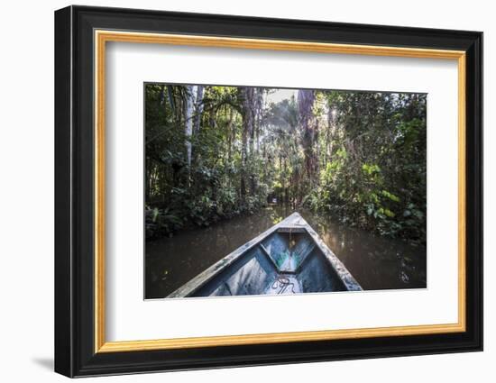 Canoe Boat Trip in Amazon Jungle of Peru, by Sandoval Lake in Tambopata National Reserve, Peru-Matthew Williams-Ellis-Framed Photographic Print