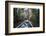 Canoe Boat Trip in Amazon Jungle of Peru, by Sandoval Lake in Tambopata National Reserve, Peru-Matthew Williams-Ellis-Framed Photographic Print