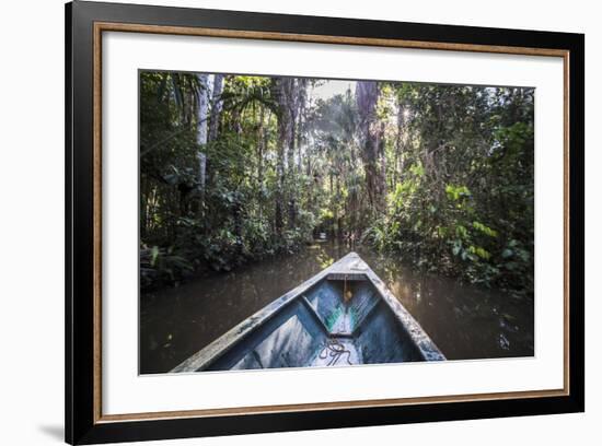 Canoe Boat Trip in Amazon Jungle of Peru, by Sandoval Lake in Tambopata National Reserve, Peru-Matthew Williams-Ellis-Framed Photographic Print