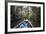 Canoe Boat Trip in Amazon Jungle of Peru, by Sandoval Lake in Tambopata National Reserve, Peru-Matthew Williams-Ellis-Framed Photographic Print