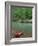 Canoe by the Big Piney River, Arkansas-Gayle Harper-Framed Photographic Print