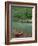 Canoe by the Big Piney River, Arkansas-Gayle Harper-Framed Photographic Print