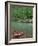 Canoe by the Big Piney River, Arkansas-Gayle Harper-Framed Photographic Print