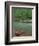 Canoe by the Big Piney River, Arkansas-Gayle Harper-Framed Photographic Print