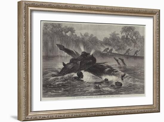 Canoe Destroyed by a Hippopotamus on the River Zambesi, South Africa-null-Framed Giclee Print