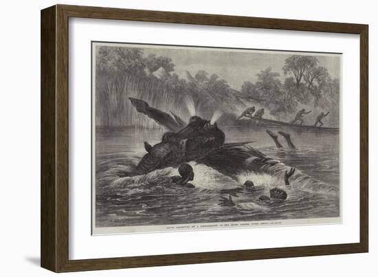 Canoe Destroyed by a Hippopotamus on the River Zambesi, South Africa-null-Framed Giclee Print