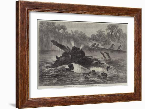 Canoe Destroyed by a Hippopotamus on the River Zambesi, South Africa-null-Framed Giclee Print