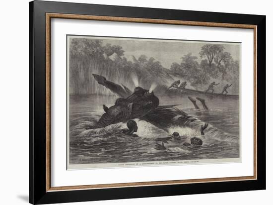 Canoe Destroyed by a Hippopotamus on the River Zambesi, South Africa-null-Framed Giclee Print