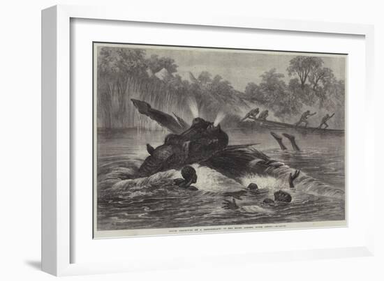 Canoe Destroyed by a Hippopotamus on the River Zambesi, South Africa-null-Framed Giclee Print