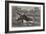 Canoe Destroyed by a Hippopotamus on the River Zambesi, South Africa-null-Framed Giclee Print