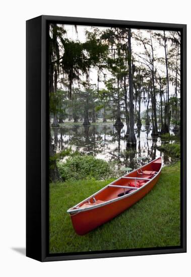 Canoe, Texas's Largest Natural Lake at Sunrise, Caddo Lake, Texas, USA-Larry Ditto-Framed Premier Image Canvas