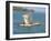 Canoe with Sail, River Gambia, the Gambia, West Africa, Africa-J Lightfoot-Framed Photographic Print