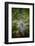 Canoe-Brooke T. Ryan-Framed Photographic Print