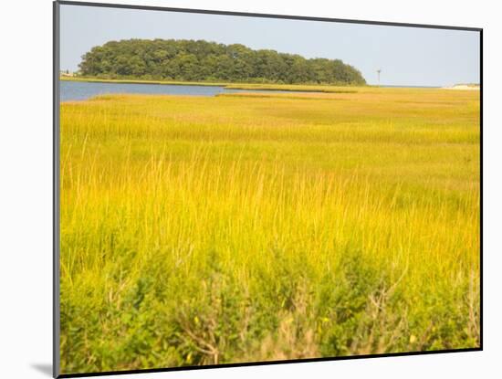 Canoeing the Sloughs and Waterways of Long Island Sound, The Hamptons, New York, USA-null-Mounted Photographic Print