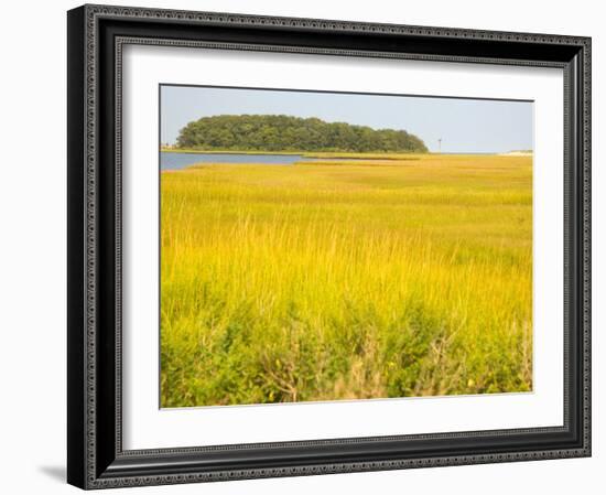 Canoeing the Sloughs and Waterways of Long Island Sound, The Hamptons, New York, USA-null-Framed Photographic Print