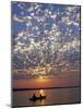 Canoeing under a Mackerel Sky at Dawn on the Zambezi River, Zambia-John Warburton-lee-Mounted Photographic Print