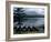 Canoes Turned Bottom Side Up on Shore of Unidentified Lake in Maine-Dmitri Kessel-Framed Photographic Print