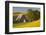 Canola and Barn, Palouse, Washington, USA-Charles Gurche-Framed Photographic Print