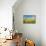 Canola Blossoms-Erin Berzel-Mounted Photographic Print displayed on a wall