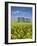 Canola Field in Saint Agathe, Winnipeg Region, Manitoba, Canada, North America-Richard Cummins-Framed Photographic Print