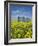 Canola Field in Saint Agathe, Winnipeg Region, Manitoba, Canada, North America-Richard Cummins-Framed Photographic Print